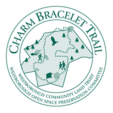 Charm Bracelet logo