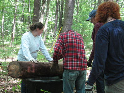 Alex Barnhart and crew moving a log at the new Fish and Wildife trail