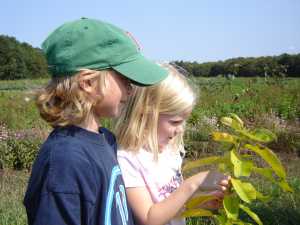 kids and milkweed caterpillar