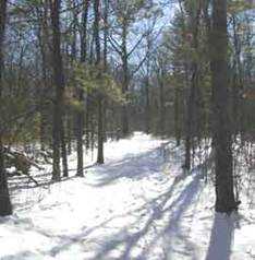 snowy trail