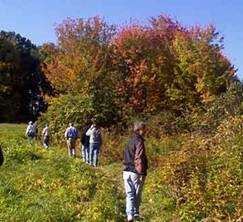 hikers