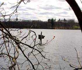 Lake Chauncy