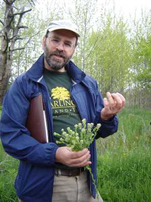 Russ Cohen with pepper grass on Wild Edibles Walk