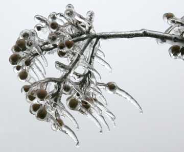 sideways icicles