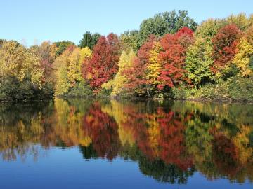 Fall foliage at Gilmore Pond