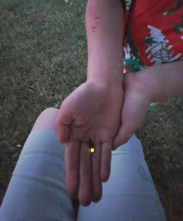 glowing firefly in a child’s hand